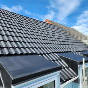 Untitled design (12)