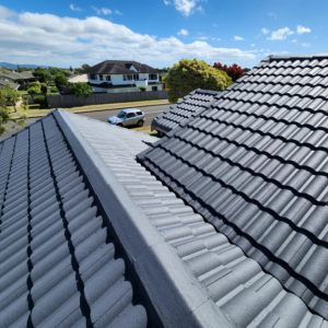 Untitled design (15)