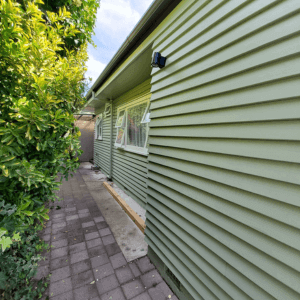 Untitled design (12) (1)